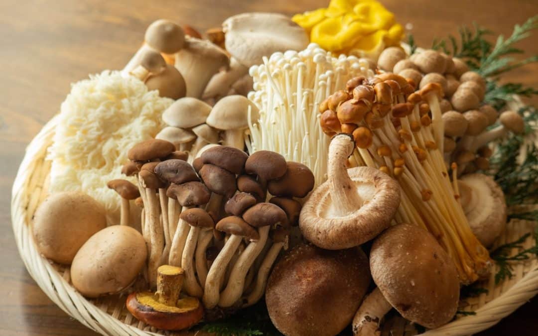 7 Culinary Mushrooms You Must Try
