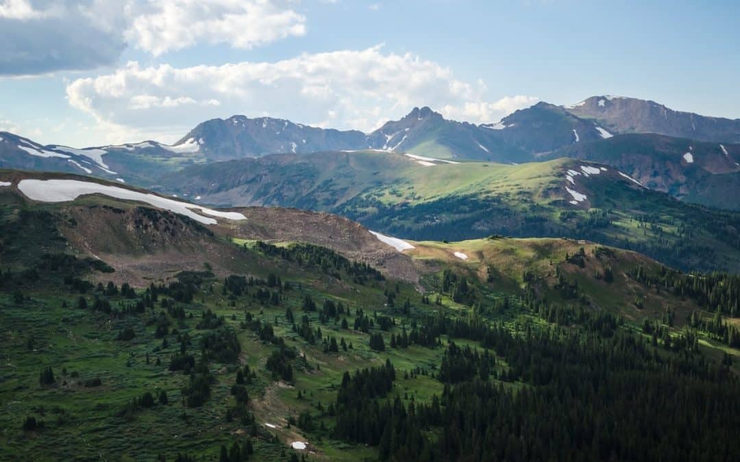 Rusted Cars in Treetops – Loveland Pass, Colorado